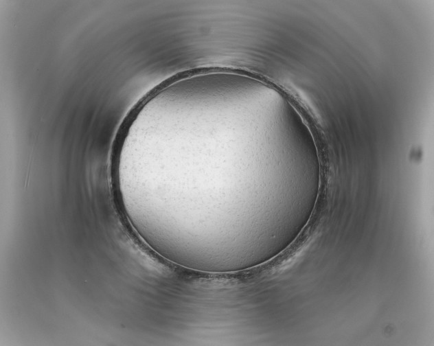 X0000091570884200709051036