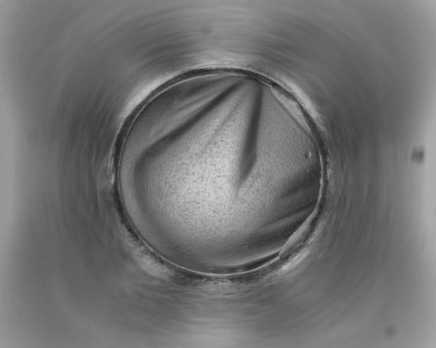 X0000091570885200709051036
