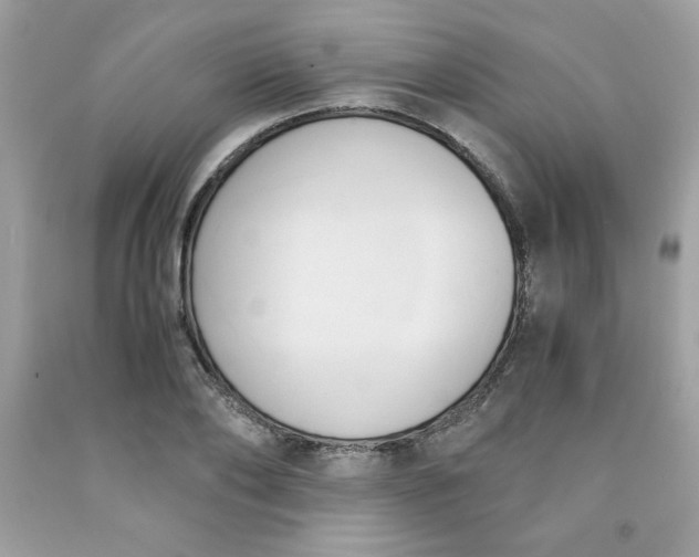 X0000091570886200709051036