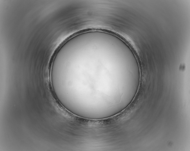 X0000091570887200709051036