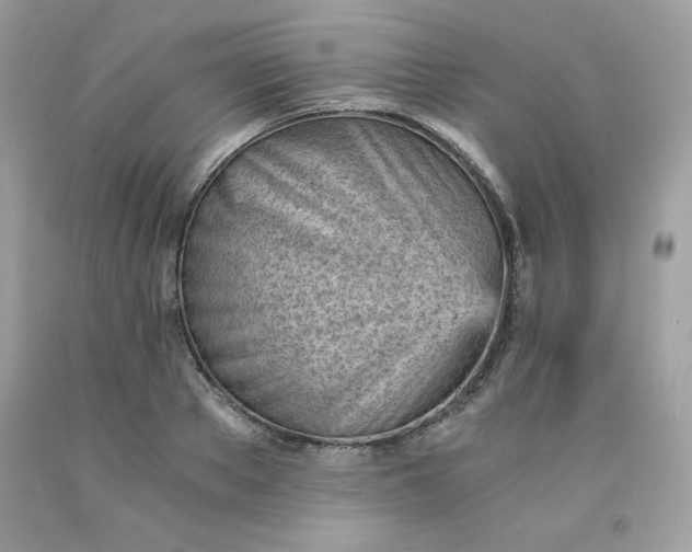 X0000091570889200709051036