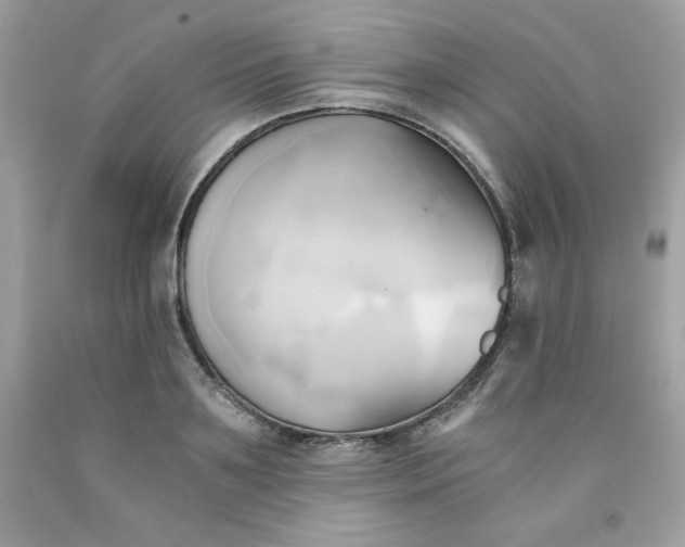 X0000091570891200709051036
