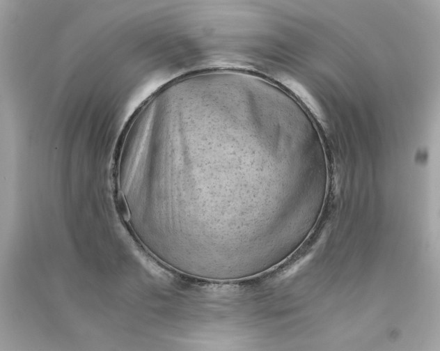 X0000091570893200709051036