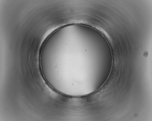 X0000091570894200709051036