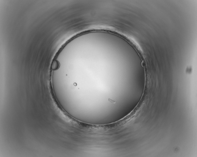 X0000091570895200709051036