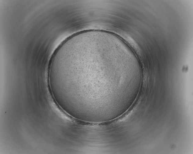 X0000091570896200709051036