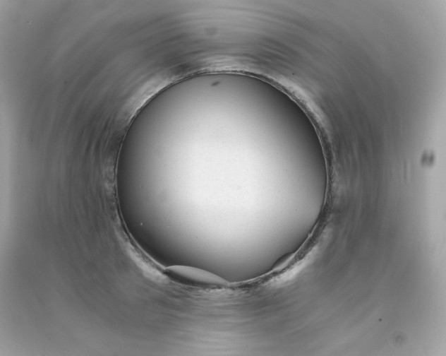 X0000091570897200709051036