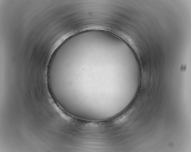X0000091570898200709051036
