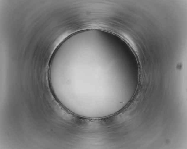 X0000091570899200709051036