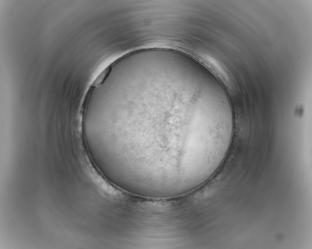 X0000091570900200709051036