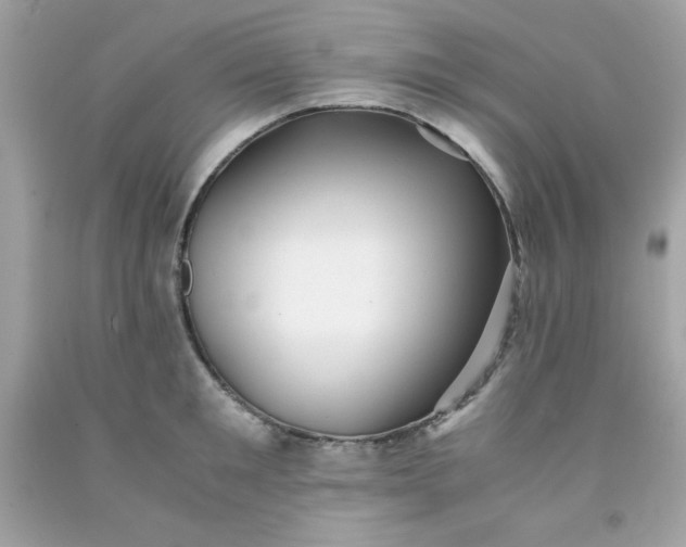 X0000091570901200709051036