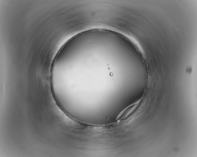 X0000091570903200709051036