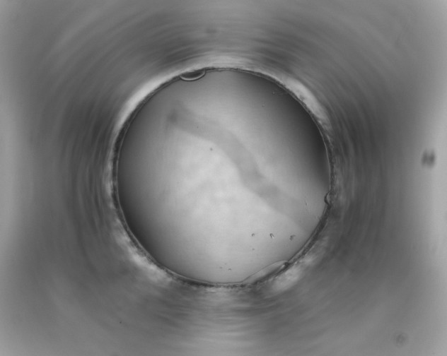 X0000091570904200709051036