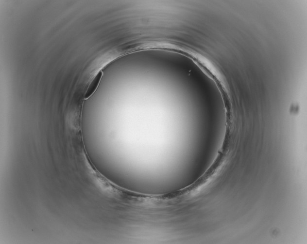 X0000091570905200709051036