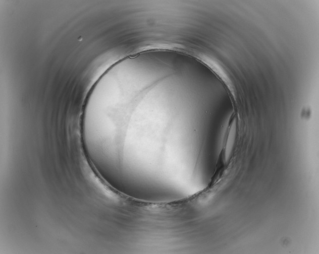X0000091570906200709051036