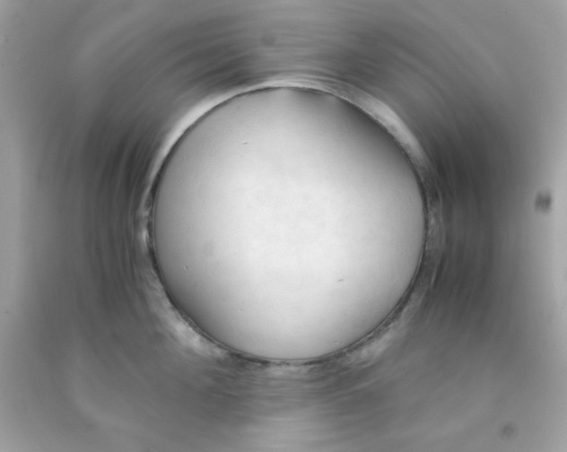 X0000091570908200709051036