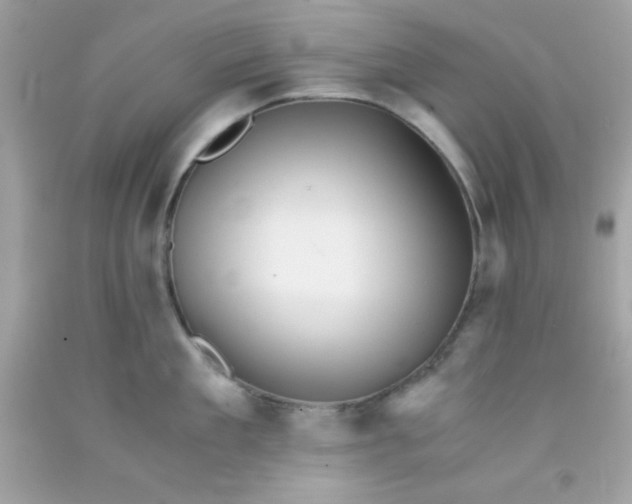 X0000091570909200709051036