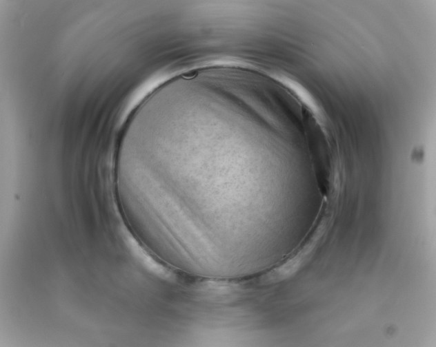 X0000091570910200709051036