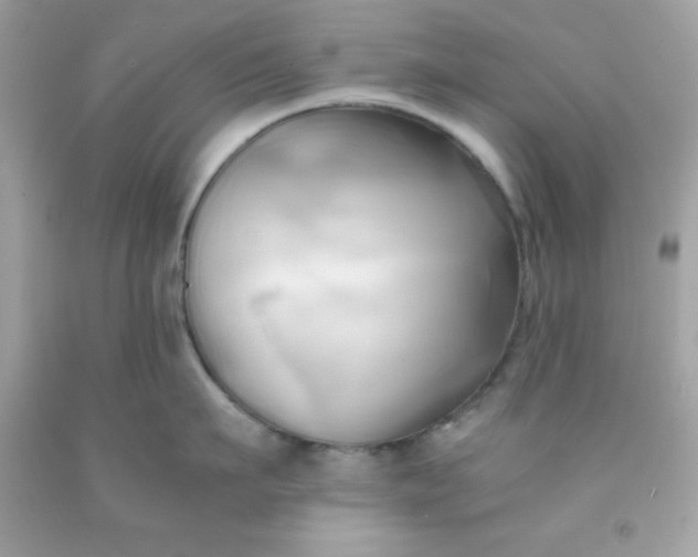 X0000091570911200709051036