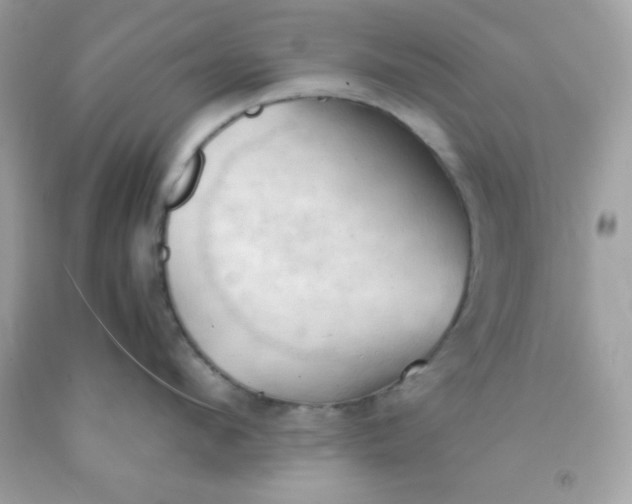 X0000091570912200709051036