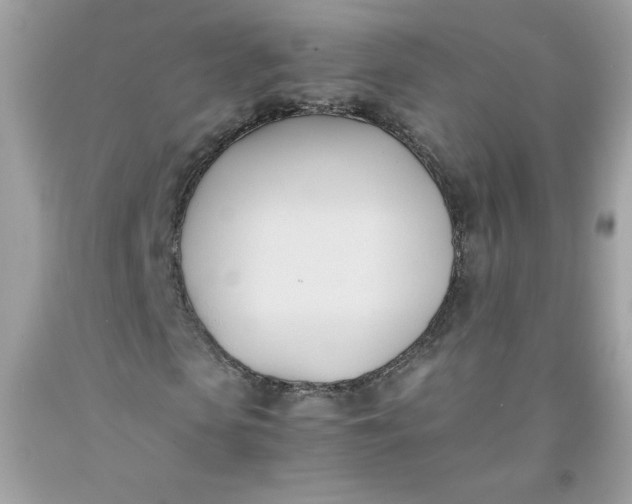 X0000091570913200709051035
