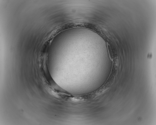 X0000091570916200709051035