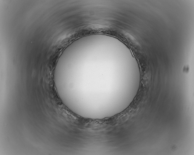 X0000091570917200709051035