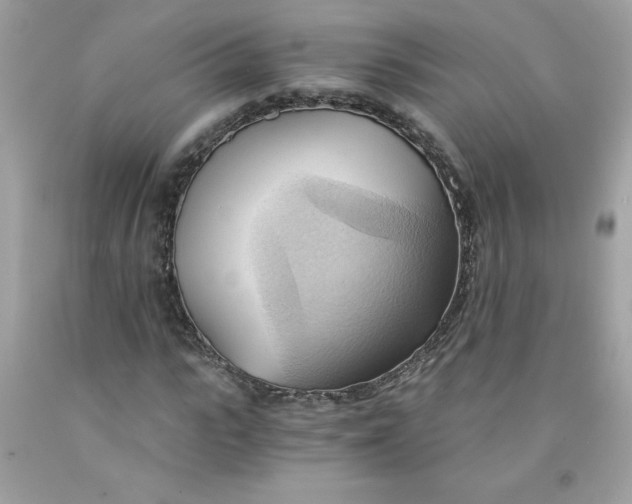 X0000091570919200709051035