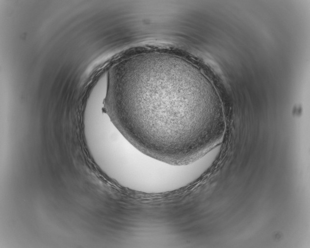 X0000091570920200709051035