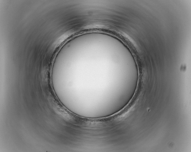 X0000091570921200709051035