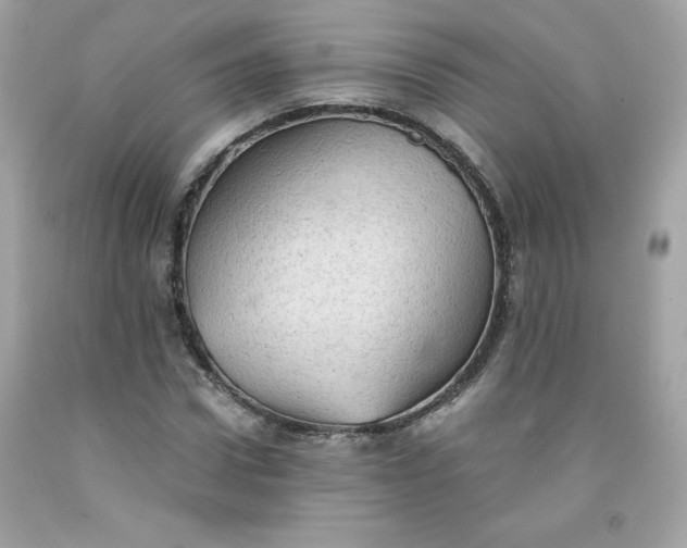 X0000091570922200709051035