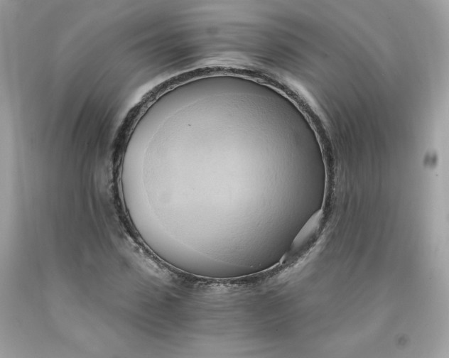 X0000091570923200709051035