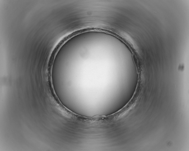X0000091570924200709051035