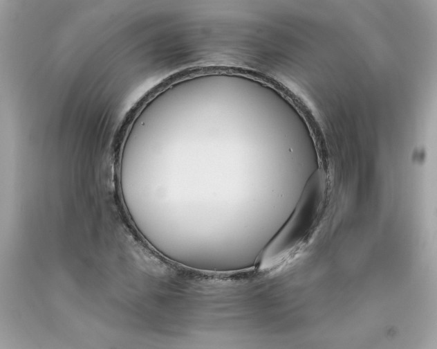 X0000091570925200709051035