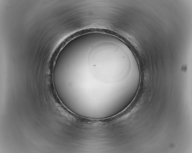 X0000091570926200709051035