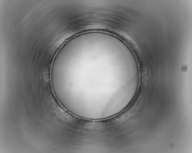 X0000091570929200709051035