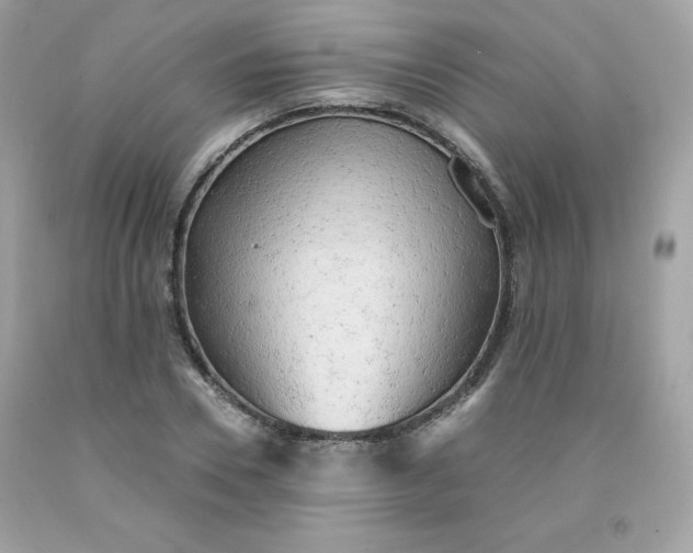 X0000091570930200709051035