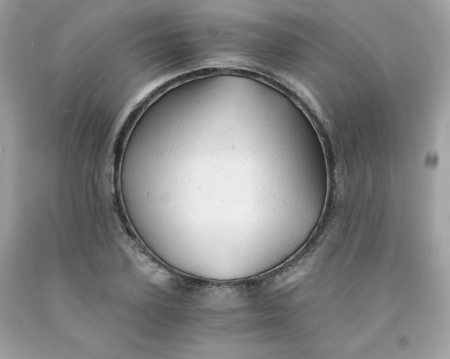 X0000091570931200709051035