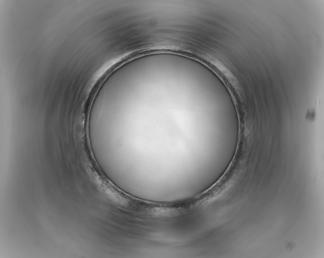 X0000091570933200709051035