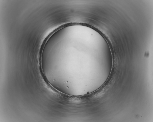 X0000091570935200709051035