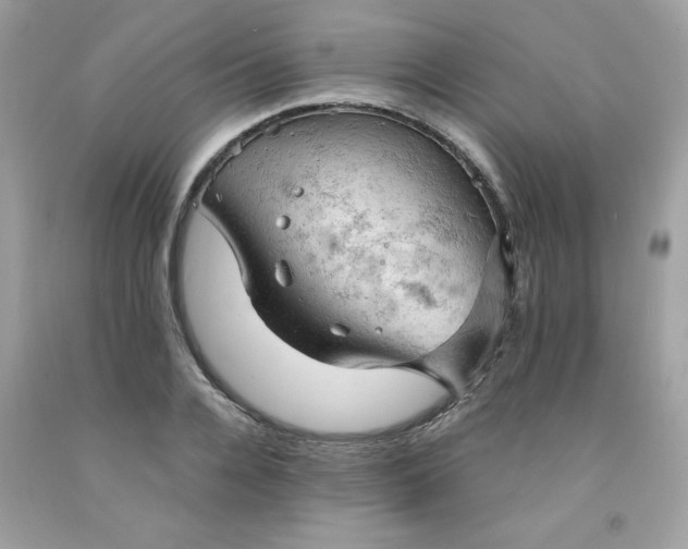 X0000091570936200709051035