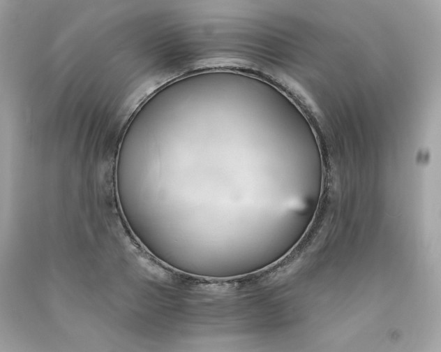 X0000091570937200709051035