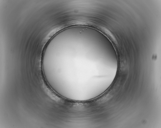 X0000091570938200709051035