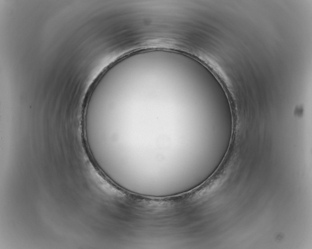 X0000091570941200709051035
