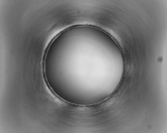 X0000091570943200709051035