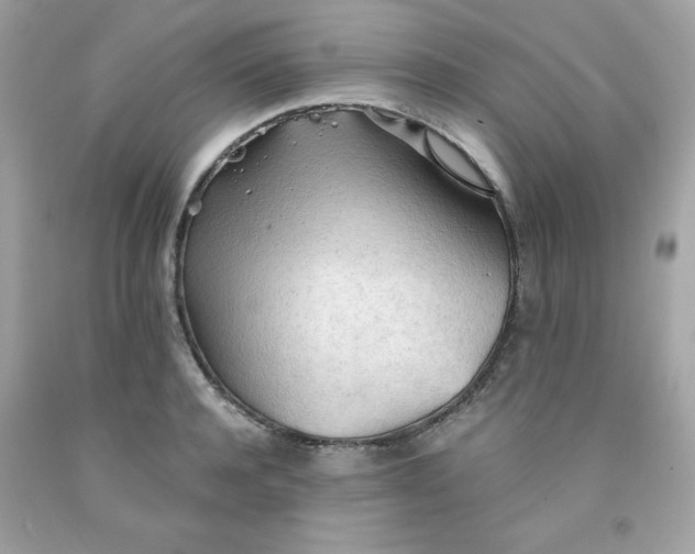 X0000091570944200709051036