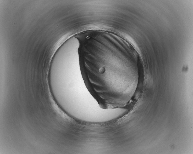 X0000091570946200709051036