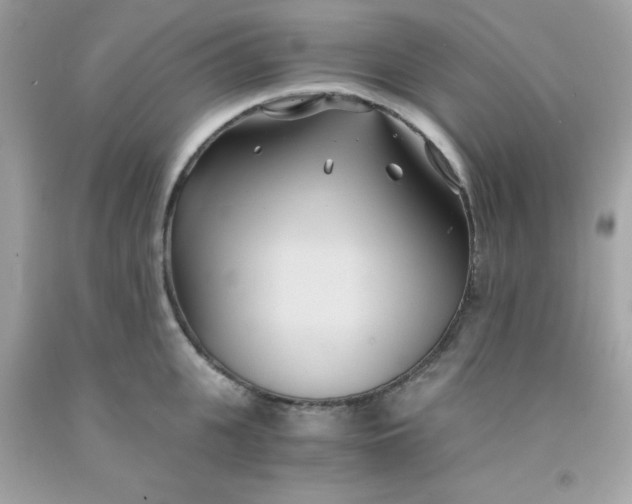 X0000091570951200709051036