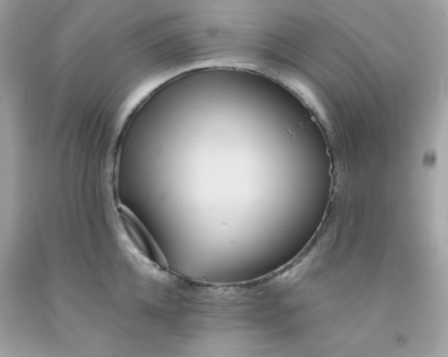 X0000091570952200709051036