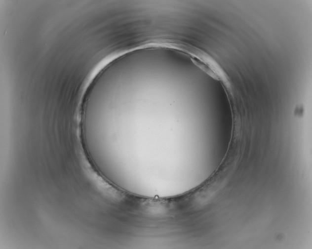 X0000091570955200709051036